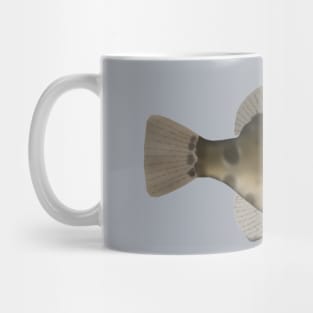 Black Banded Sunfish Mug